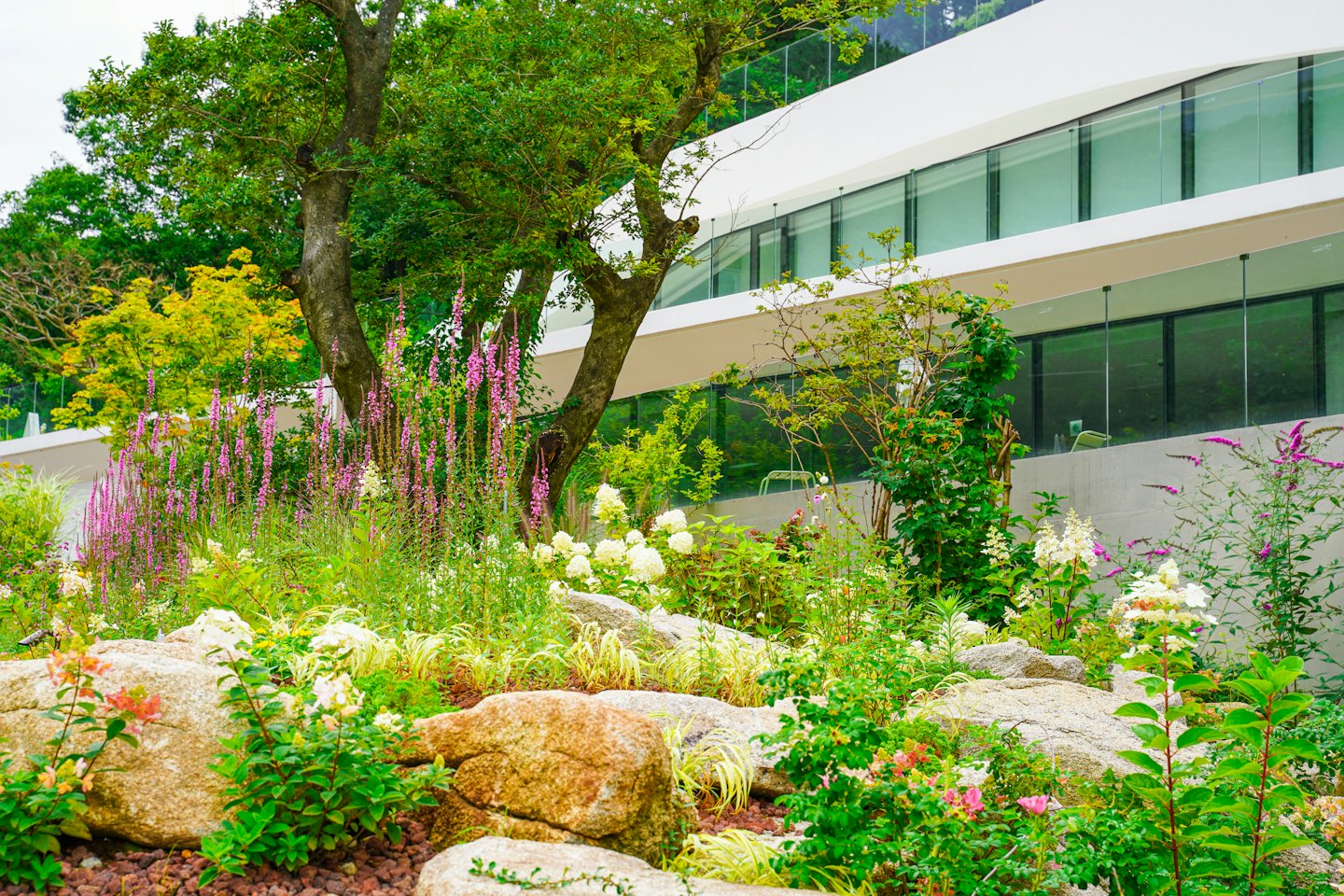 Modern building exterior with lush garden and flowering plants.